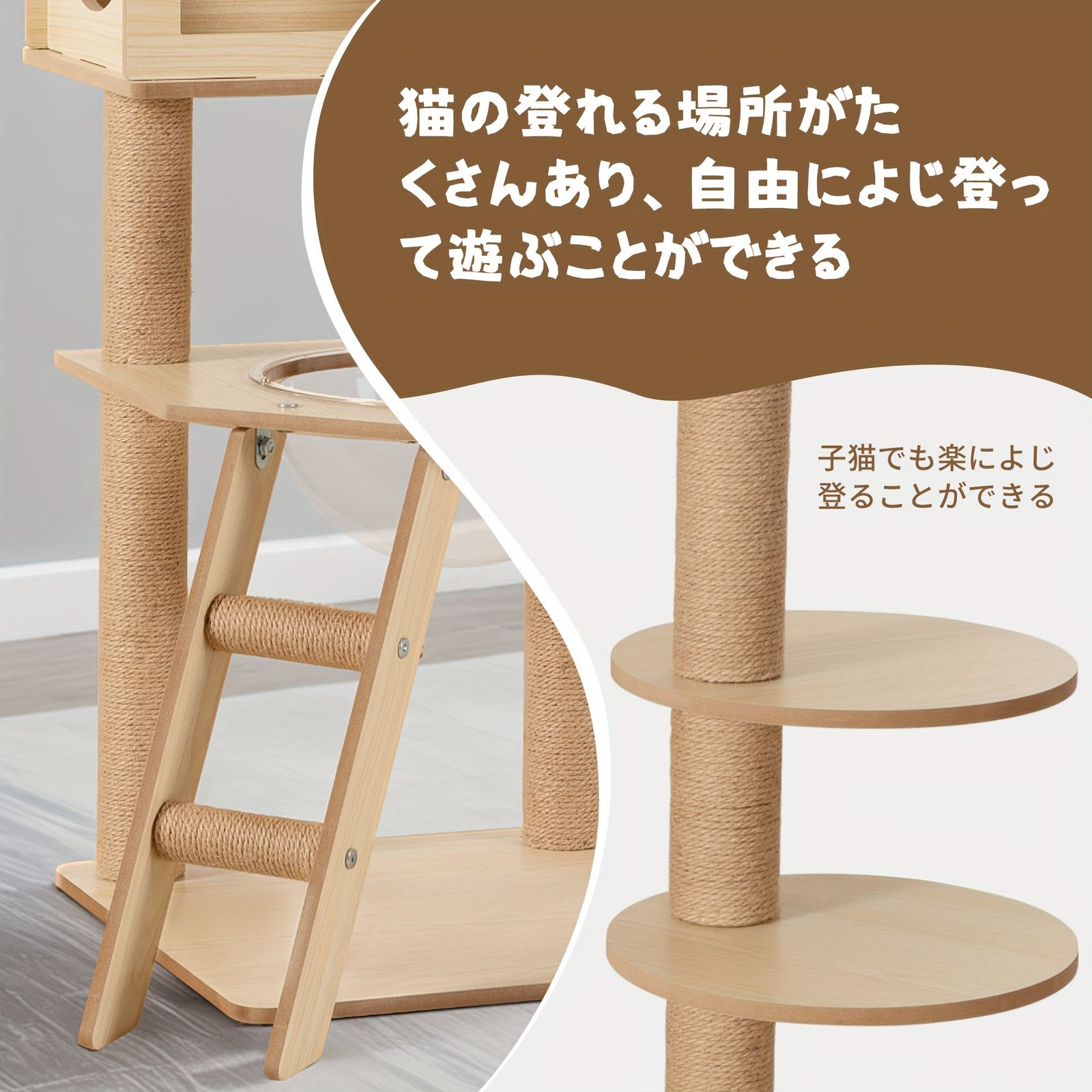 爪とぎ 人気