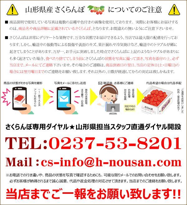 果物 フルーツ