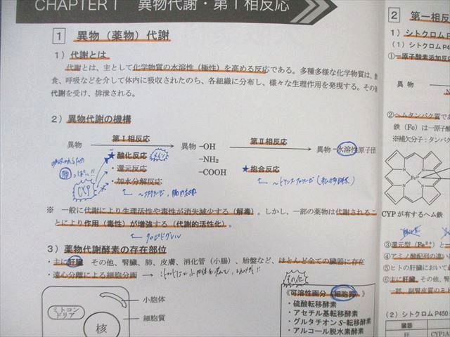 REC e-ラーニング 大阪薬科大学 薬剤師国家試験対策 レジュメセット ★ ☆ 000L3D 楽天市場】REC e-ラーニング 大阪薬科大学 薬剤師国家試験対策