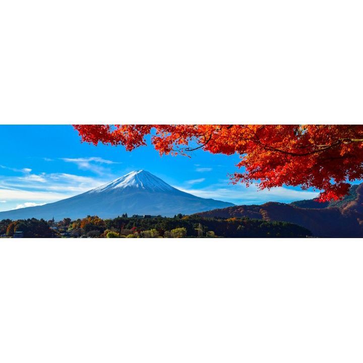 絵画風 壁紙ポスター (はがせるシール式) -地球の撮り方- 河口湖の紅葉まつりと富士山 パノラマ キャラクロ C-ZJP-036L1 (パノラマL版 1843mm×576mm) ＜日本製＞ ウォールステッカー お風呂ポスター