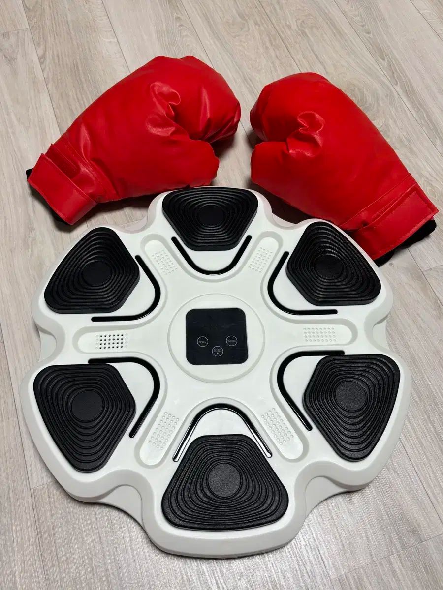 ミュージックボクシングマシン music boxing : | - ミュージック