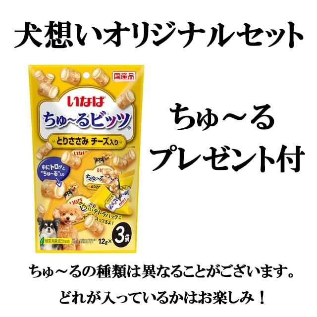 成犬用