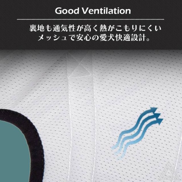 機能性 クッション