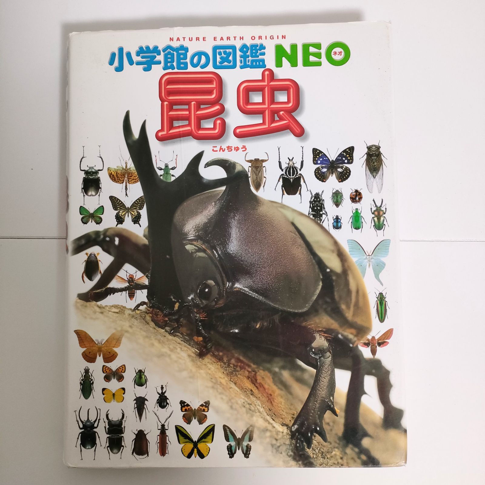 82％以上節約 本5冊セット 百科 図鑑 人間 人体 科学