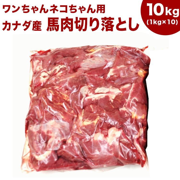 キャンペーンもお見逃しなく 送料込 同梱包不可《業務用簡易パック》カナダ産馬肉切り落とし カタマリ 10kg 1kg×10袋  注意バラ凍結ではございません