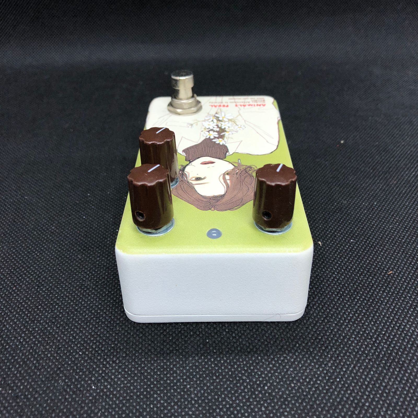 Animals Pedal Custom Illustrated 040 Sunday Afternoon Is