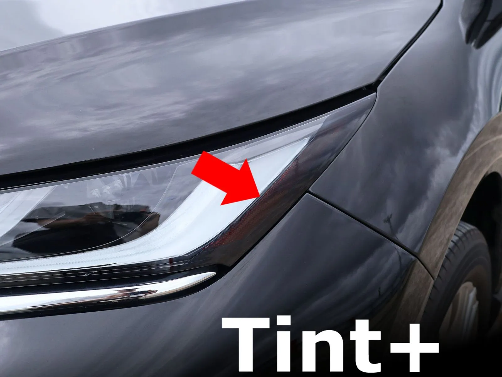 Tint+何度も貼れる ハリアー 80系 ヘッドライト スモークフィルム