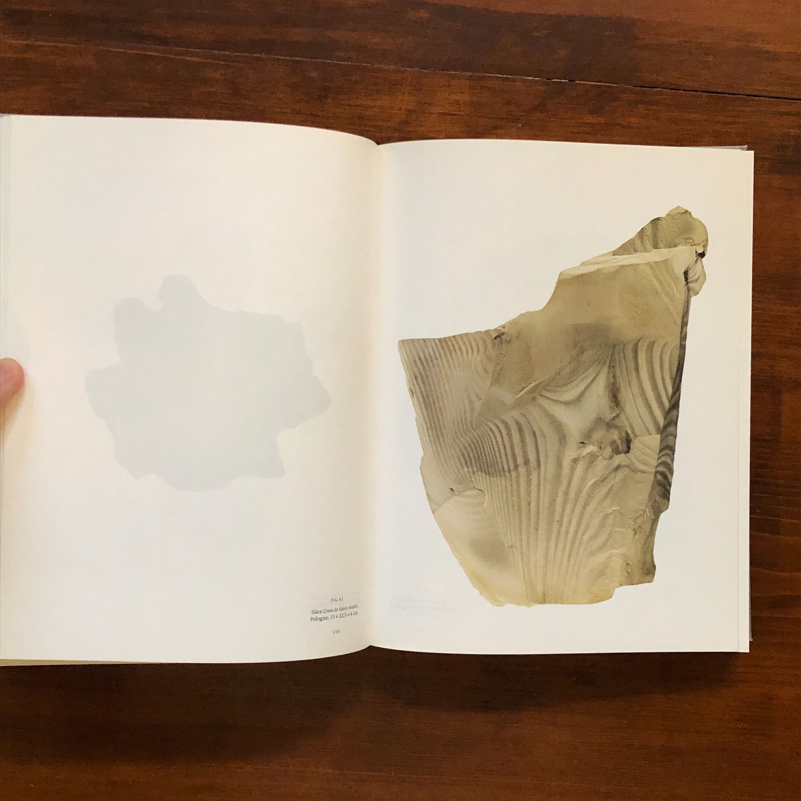 Roger Caillois ロジェ・カイヨウ　天然石　写真集　鉱石 Roger Caillois ロジェ・カイヨウ 天然石 写真集 鉱石 Roger