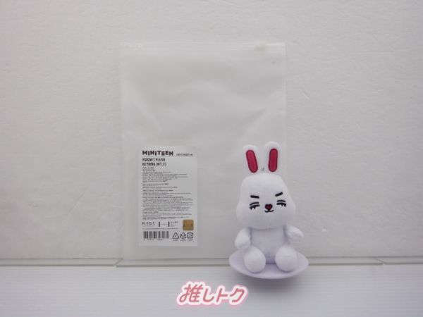 MINITEEN MAGNET PLUSH KEYRING エスクプス② SEVENTEEN - MINITEEN OFFICIAL MD - MAGNET PLUSH KEYRING — Oh