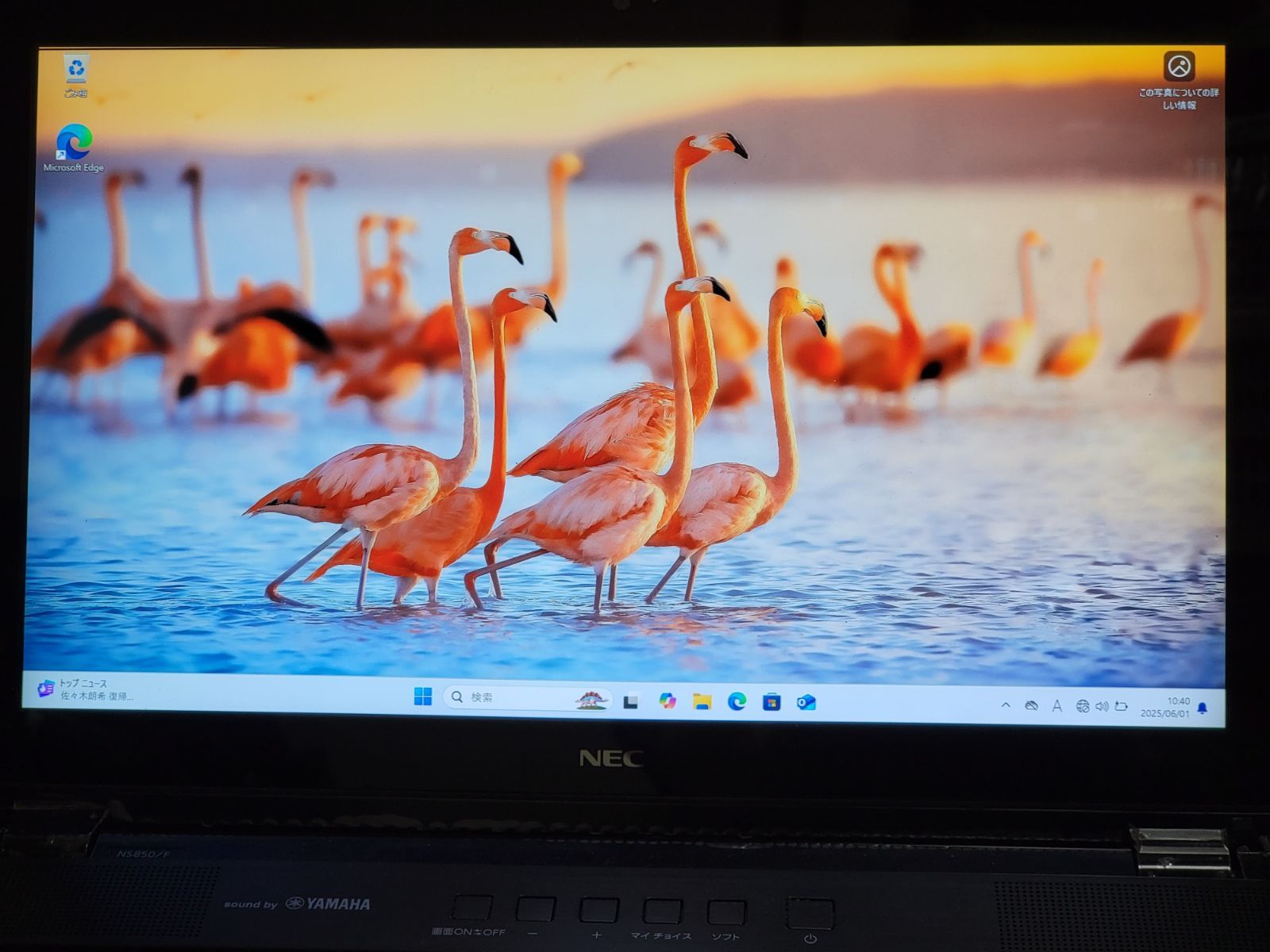 NEC PC-NS850NAS LAVIE NS850/N Core i7 8565U 1.80GHz 8GB 1000GB HDD 