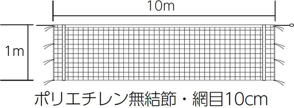 トーエイライト TOEI LIGHT バレーボール 9人制 女子 バレーボールネット 上部のみ白帯付 レディース ウィメンズ 学校 体育 授業 器具 施設 体育館 コート ネット型 部活動 クラブ サークル B2846 -