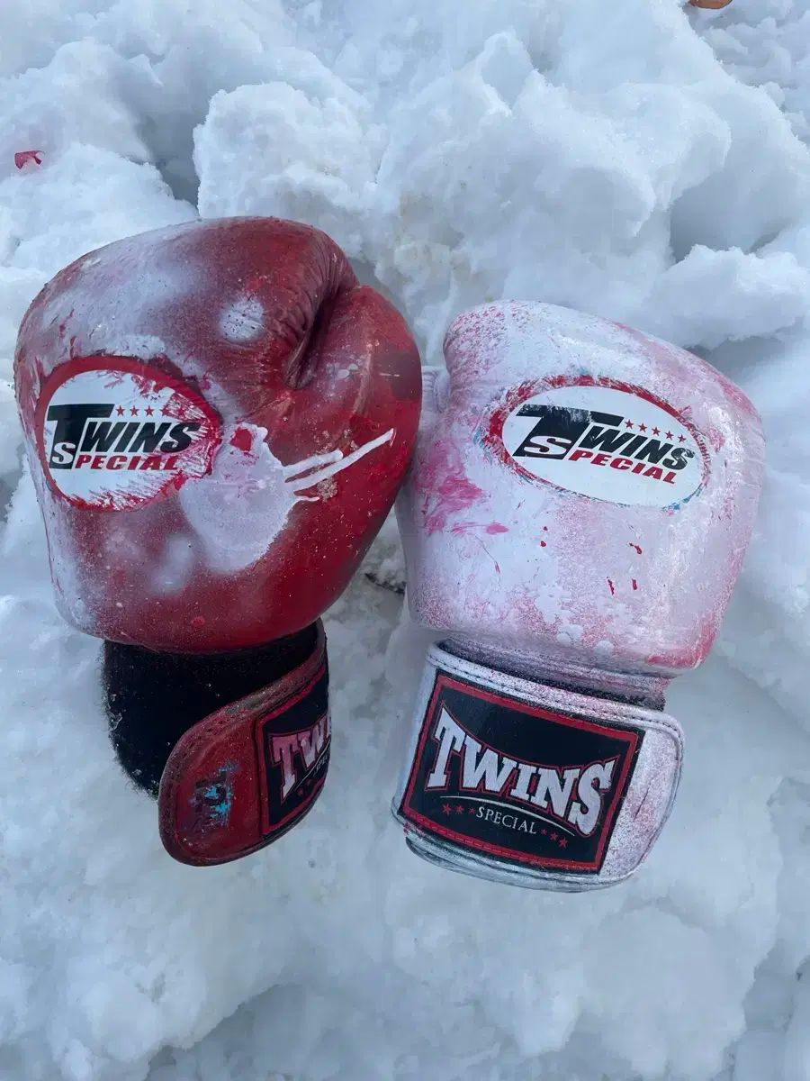 TWINS グローブ 16オンス 希少】TWINS SPECIAL ボクシンググローブ 16