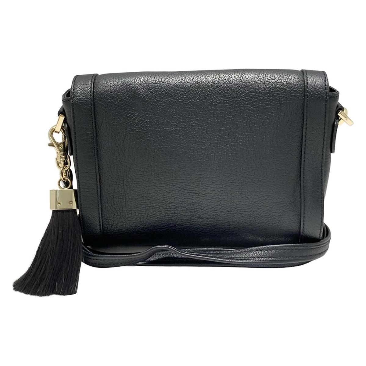 AIGNER ブラックレザーショルダーバッグ AIGNER(アイグナー) ショルダーバッグ美品 - 黒 レザー - メルカリ