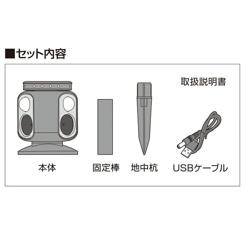 とり 野生動物