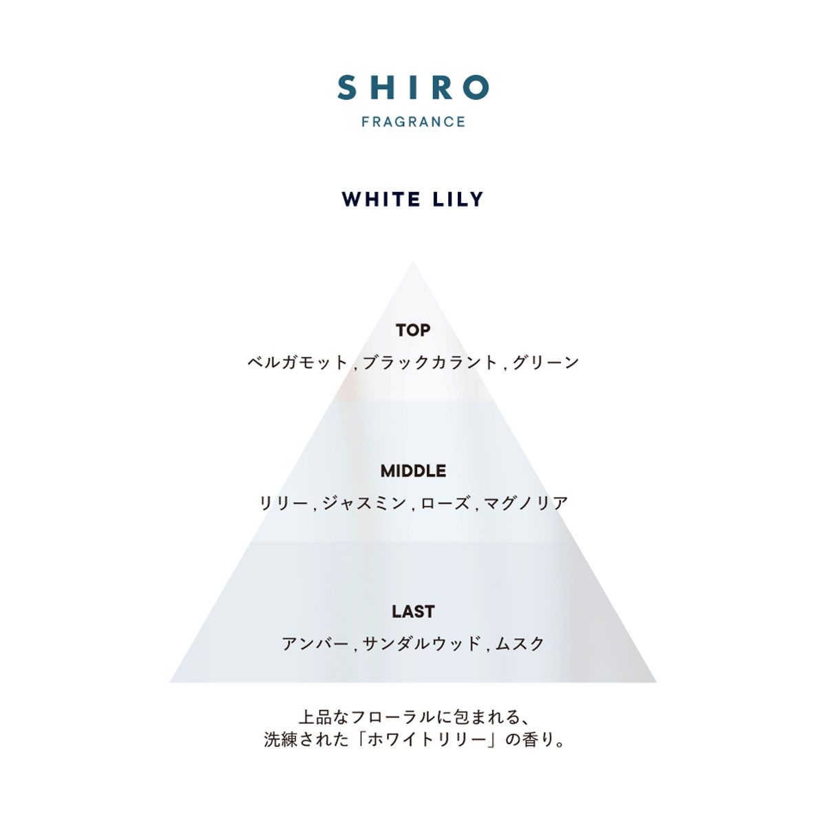 大容量