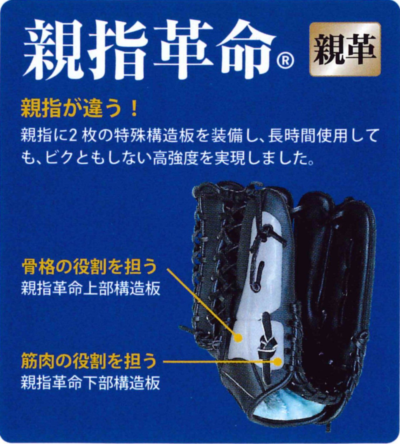 福岡ソフトバンクホークス小久保裕紀実使用バッティンググローブ 福岡ソフトバンクホークス小久保裕紀実使用バッティンググローブ