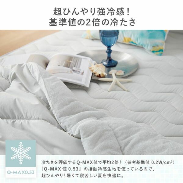 ベットパット インテ