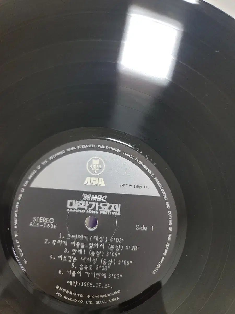 フェスティバル