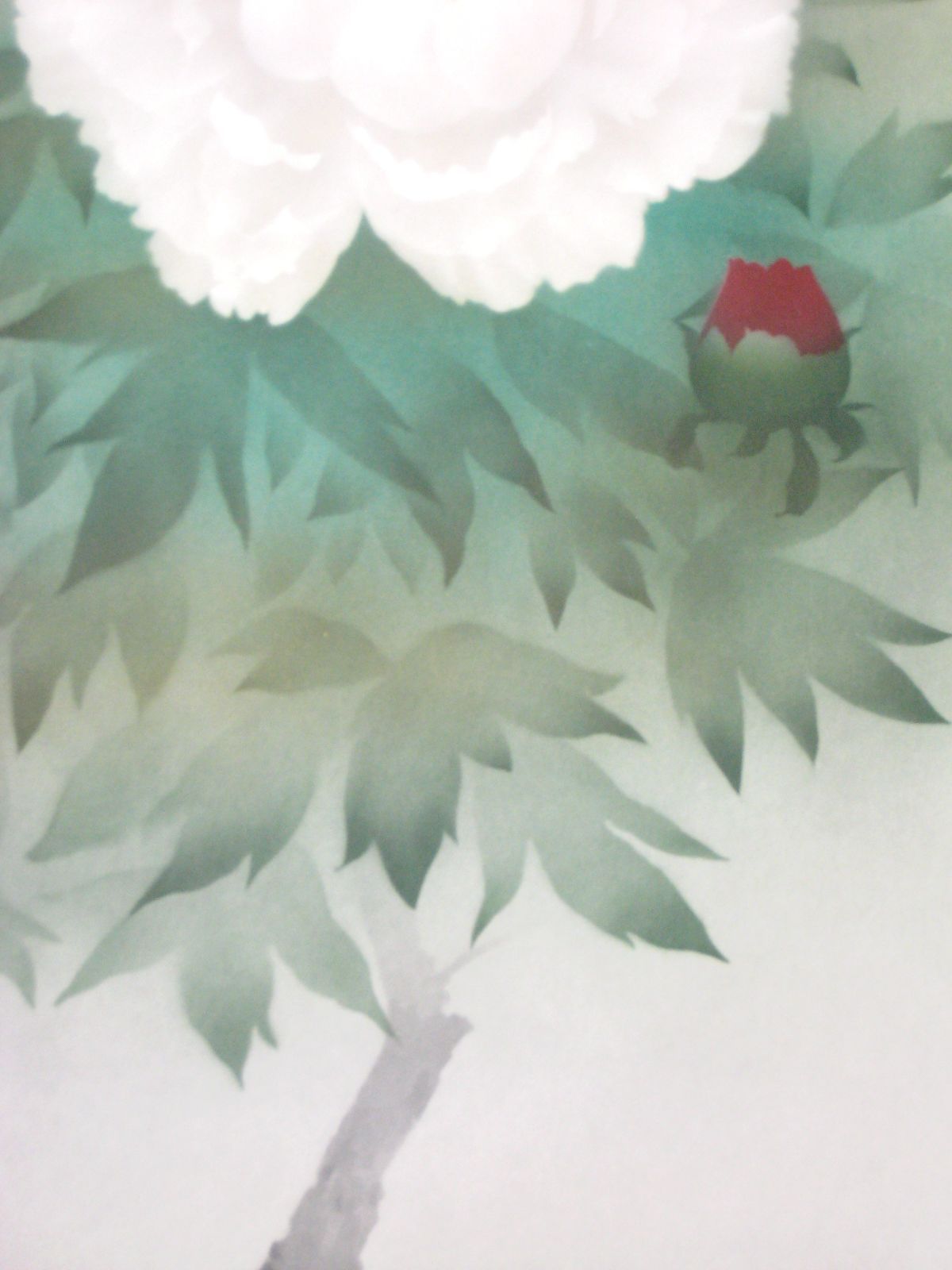 真筆】掛け軸 掛軸 富貴花◇中川幸彦 太巻 (共箱・タトウ箱付) 美品