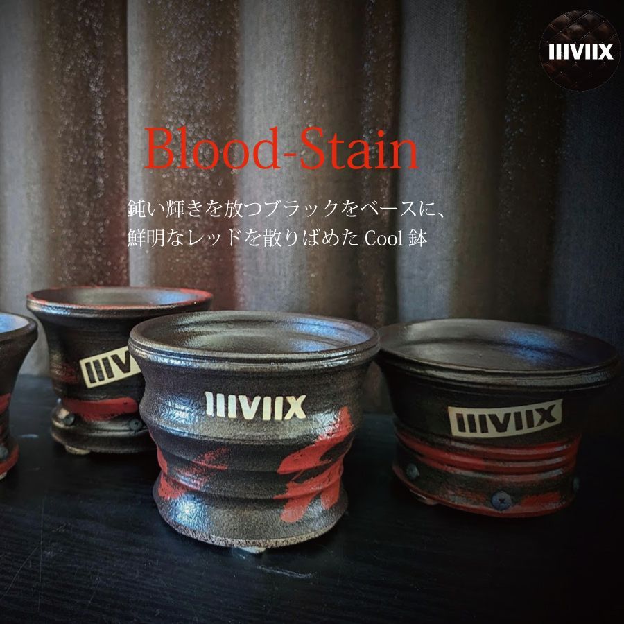 《ネット限定モデル》  Lプラス 『Blood Stain-ブラッドステイン-』 【BS-L_0509】 IIIVIIX イーヴィックス 陶器鉢 植木鉢 観葉植物 多肉植物 アガベ 塊根植物 グラキリス 亀甲竜 エケベリア ハオルチア