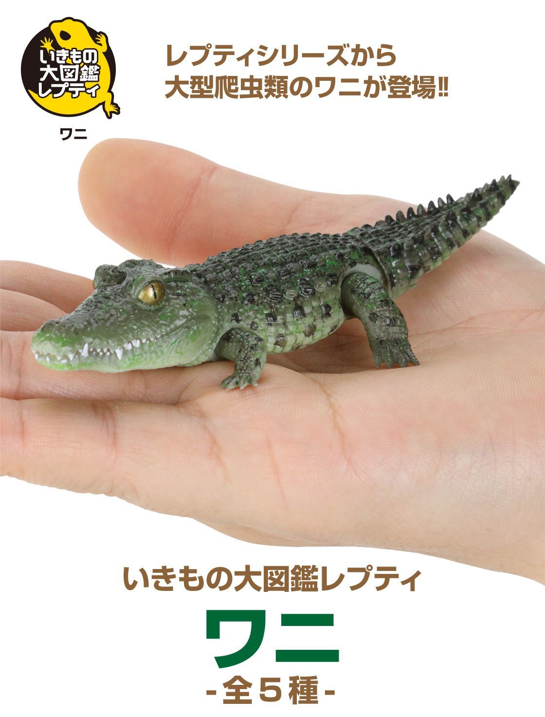 レプティワニ 大図鑑アルティメットナイルワニライト ワニ フィギュア