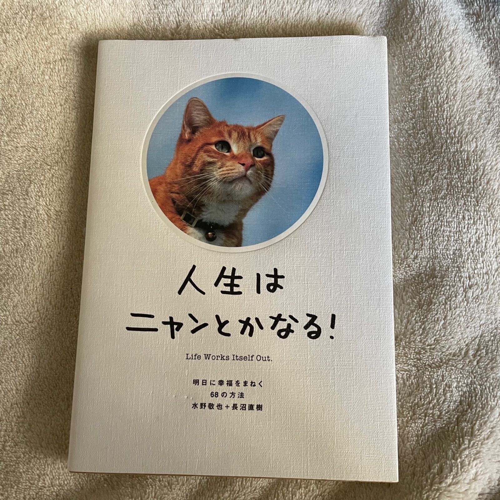 人生はニャンとかなる! 明日に幸福をまねく68の方法 - 趣味