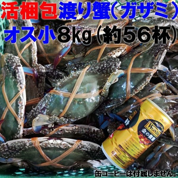 活梱包 「ワタリガニ オス小8 ｋｇ」（約56杯） 渡り蟹 ガザミ ケジャンにも！