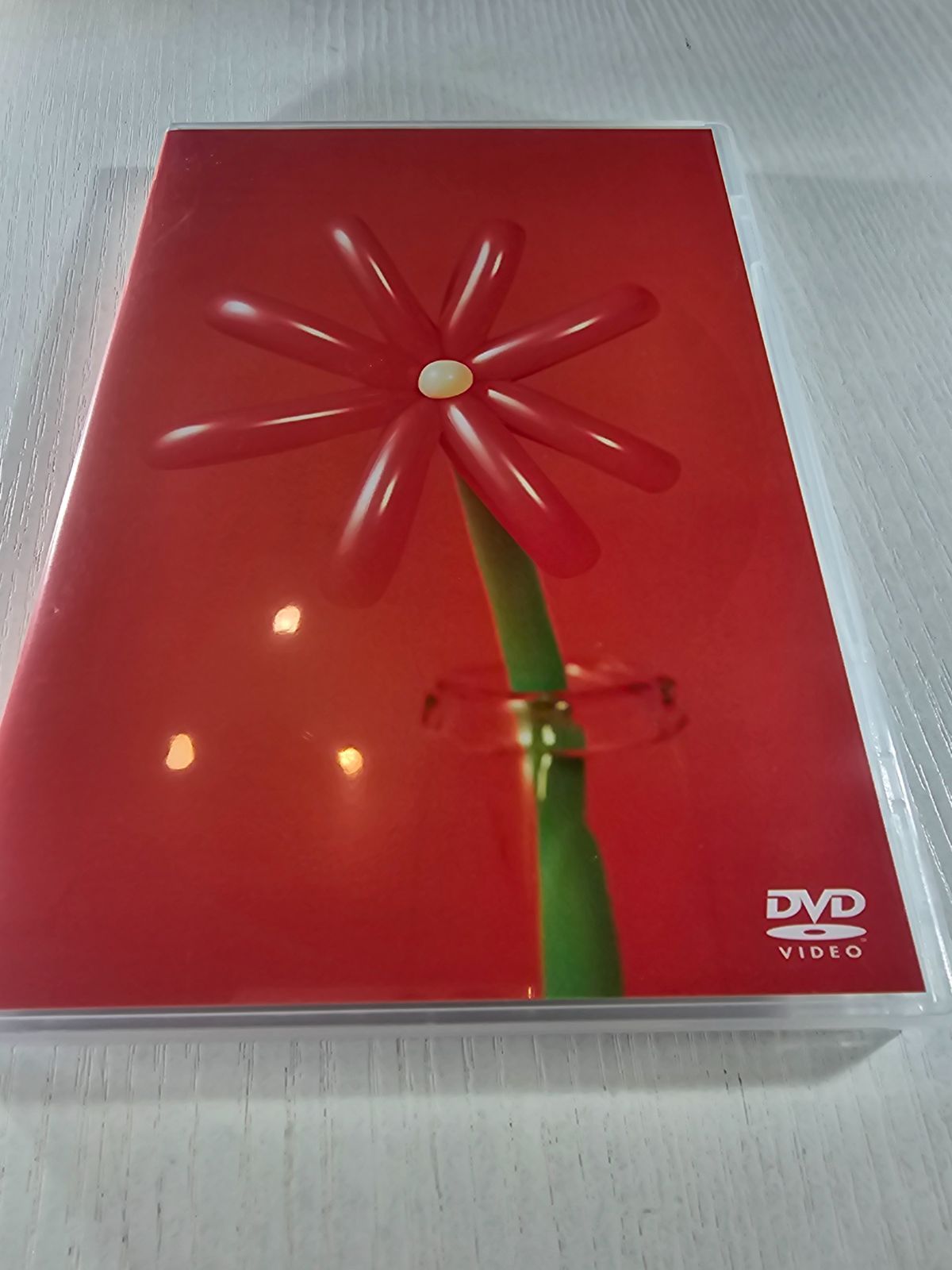 マカロニえんぴつ 限定DVD マカロニえんぴつセット 初回限定盤 CD DVD