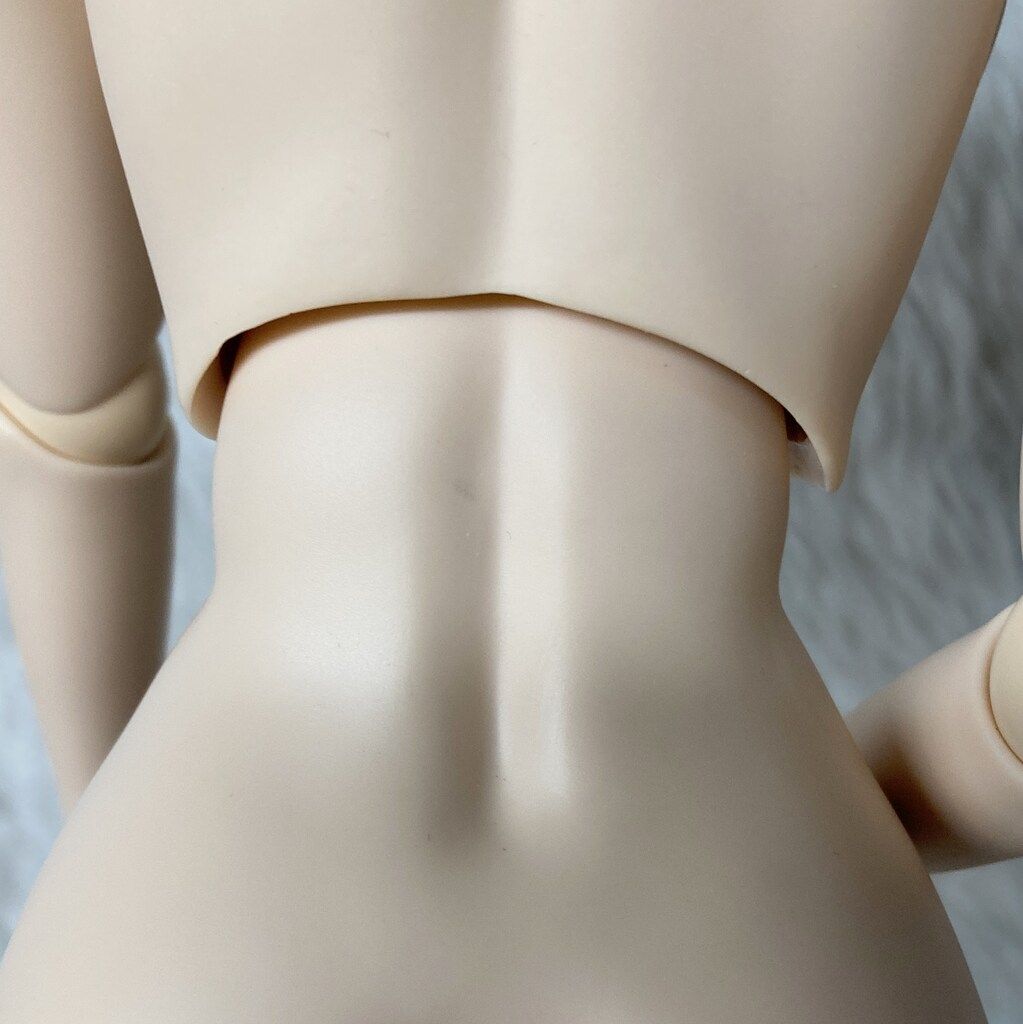 ボークス ドルフィードリーム