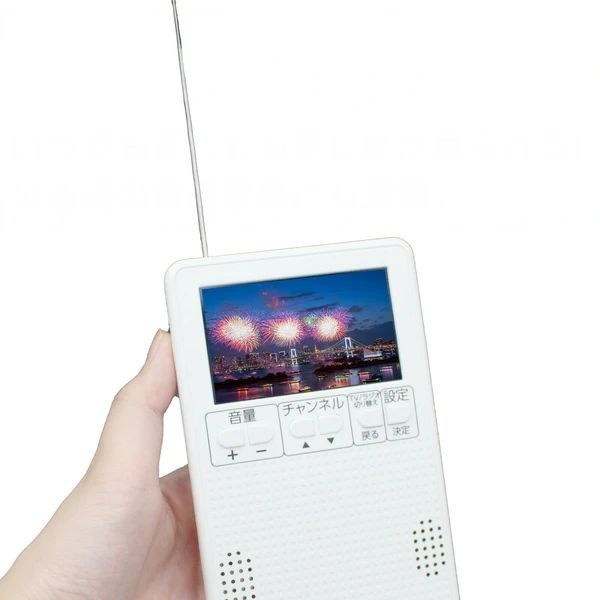 充電式 ファミリー