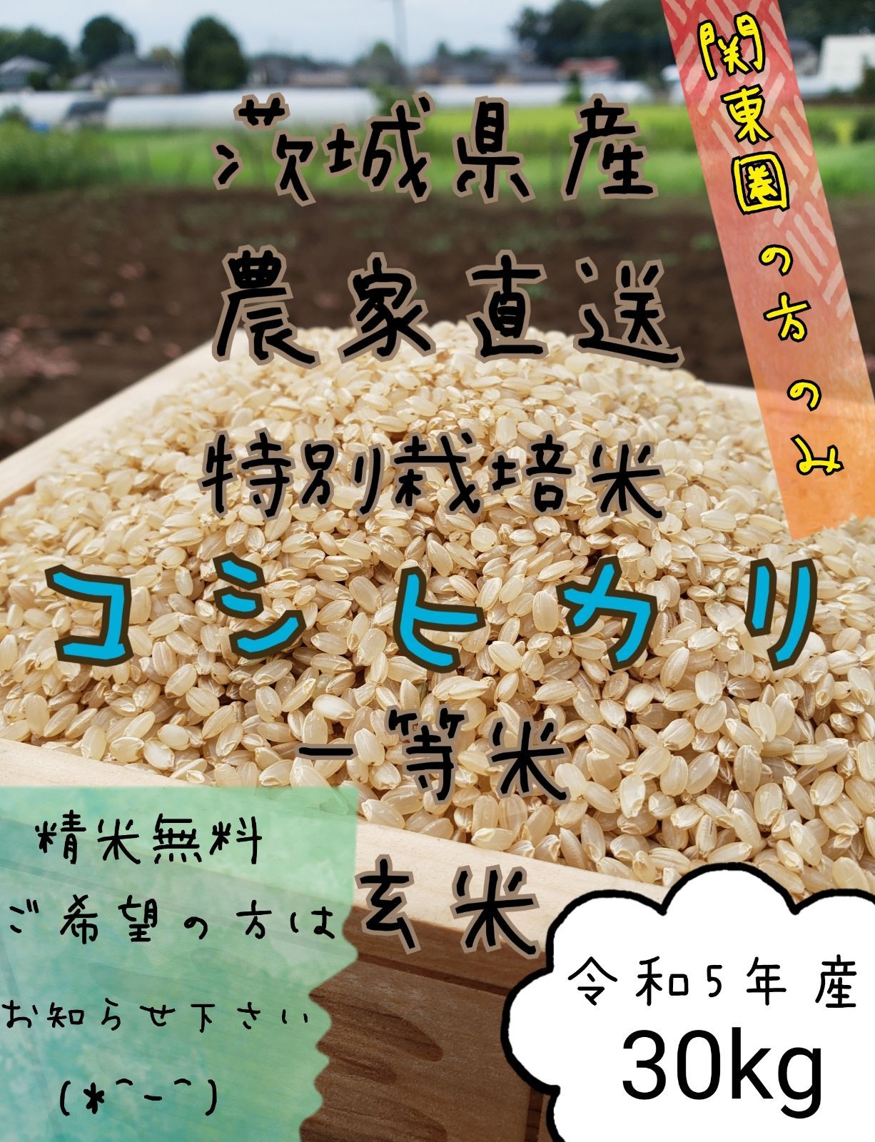 新米 玄米コシヒカリ 30キロ 令和5年 お米 白米 精米 茨城県産 関東圏