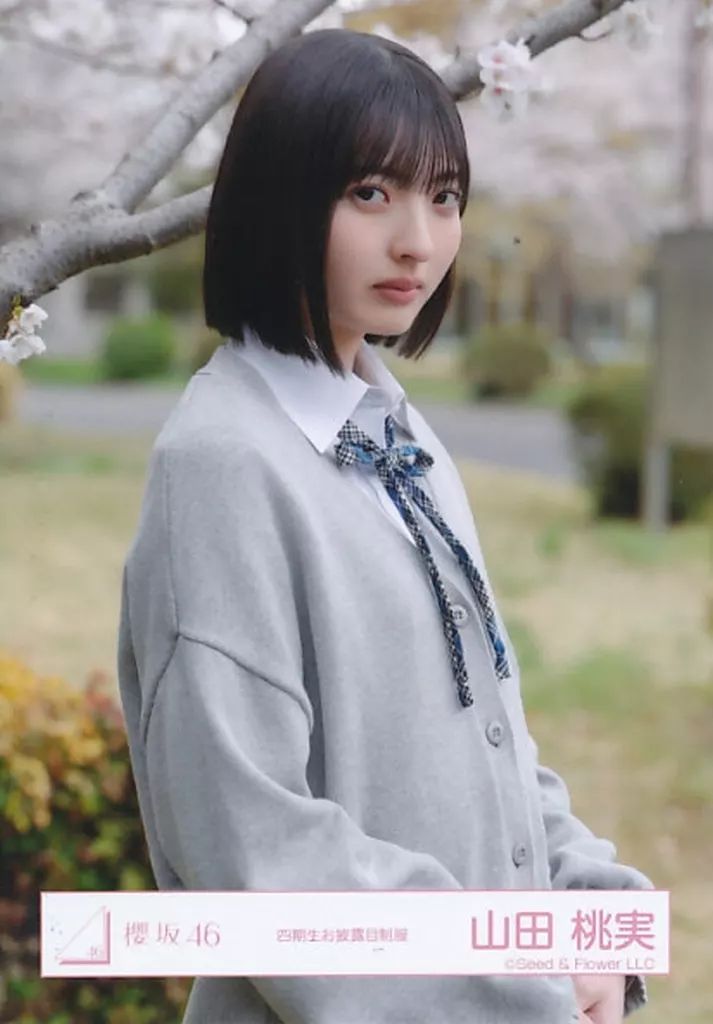 中古】生写真(乃木坂46) 櫻坂46/山田桃実/上半身/櫻坂46ランダム