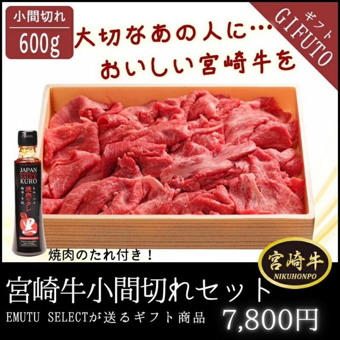 宮崎牛 小間切れセット 600g 牛モモ肉 肩肉 バラ肉 ミックス 宮崎県 都