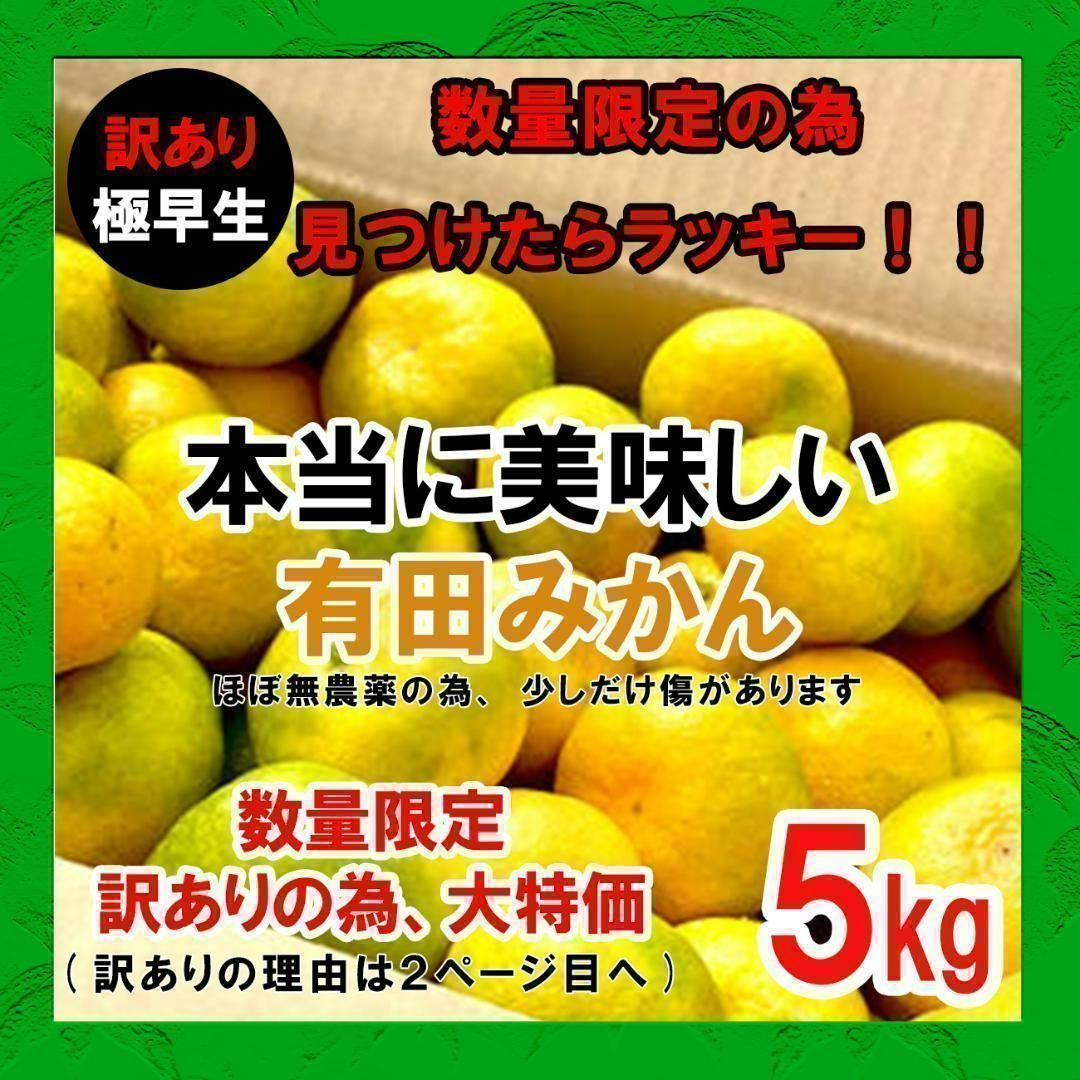 減農薬 甘い うまい 安いの有田みかん 5kg 早生 - 果物