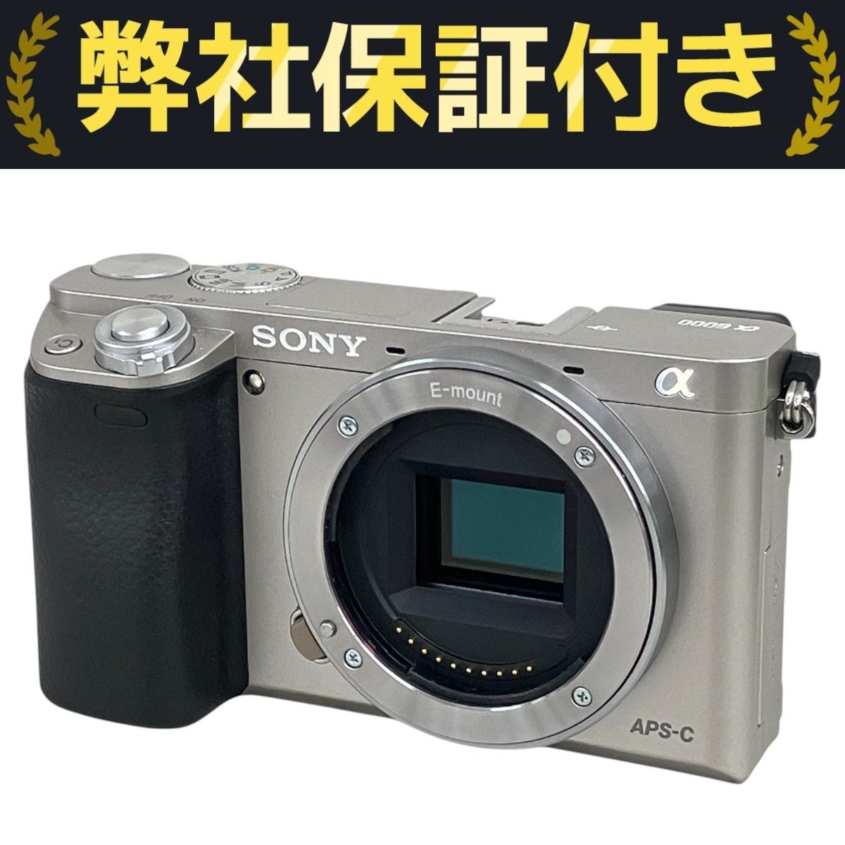 Sony α6000 ボディ　E-mount APS-C ミラーレスカメラ Amazon | SONY ミラーレス一眼 α6000 ボディ シルバー ILCE-6000