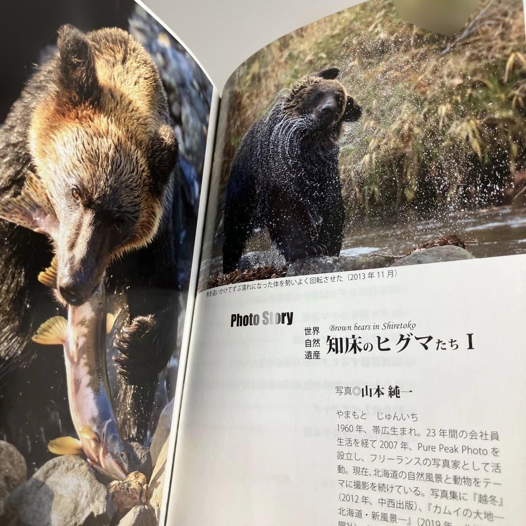 となりの野生ヒグマ いま何が起きているのか - メルカリ