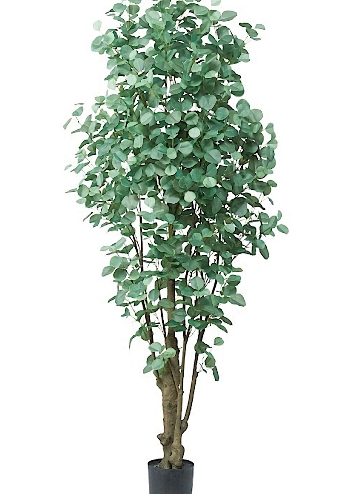 光触媒 人工観葉植物 ウォールグリーン フェイクグリーン ユーカリ225