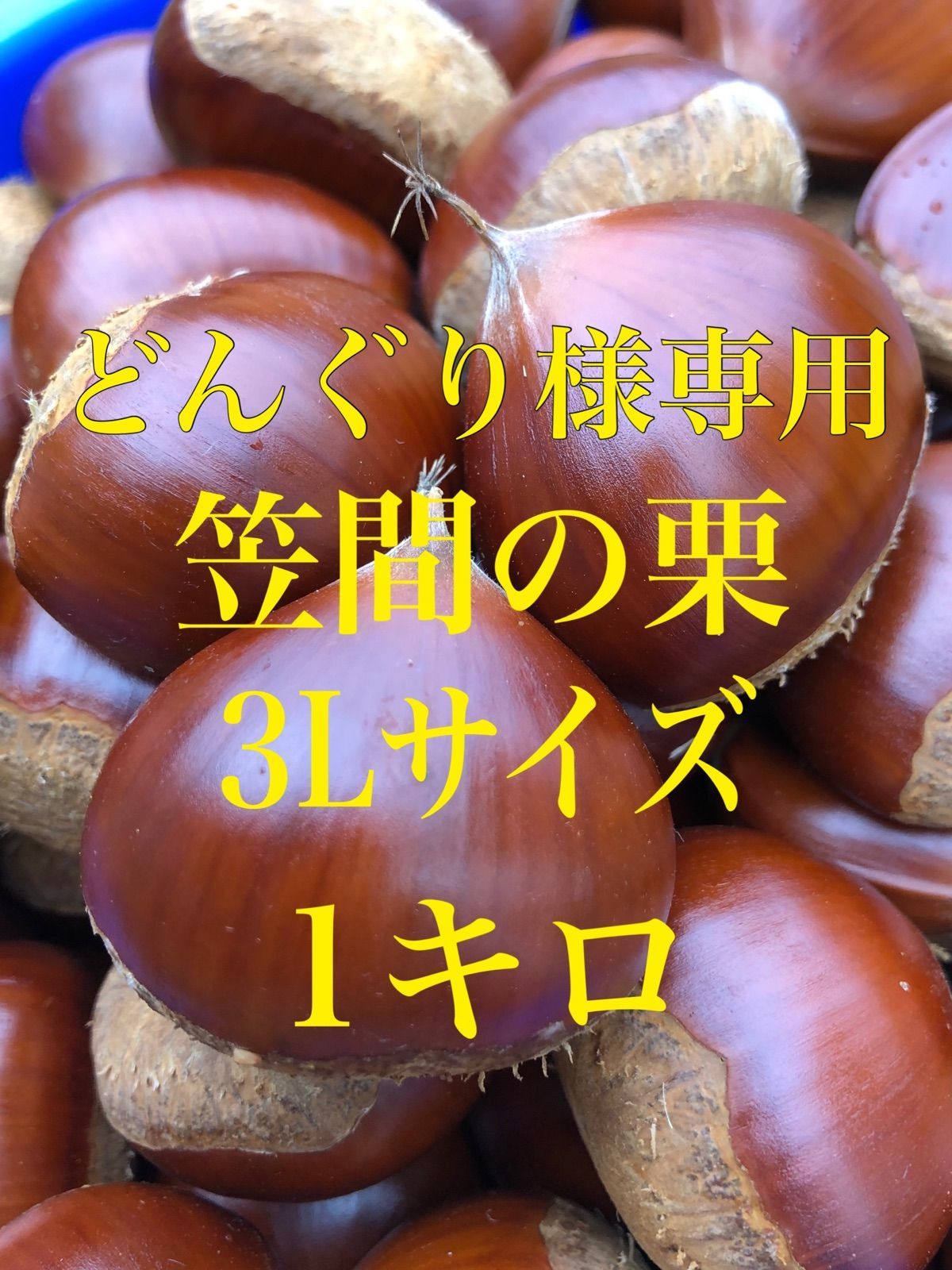 どんぐり様 - 手芸素材・材料