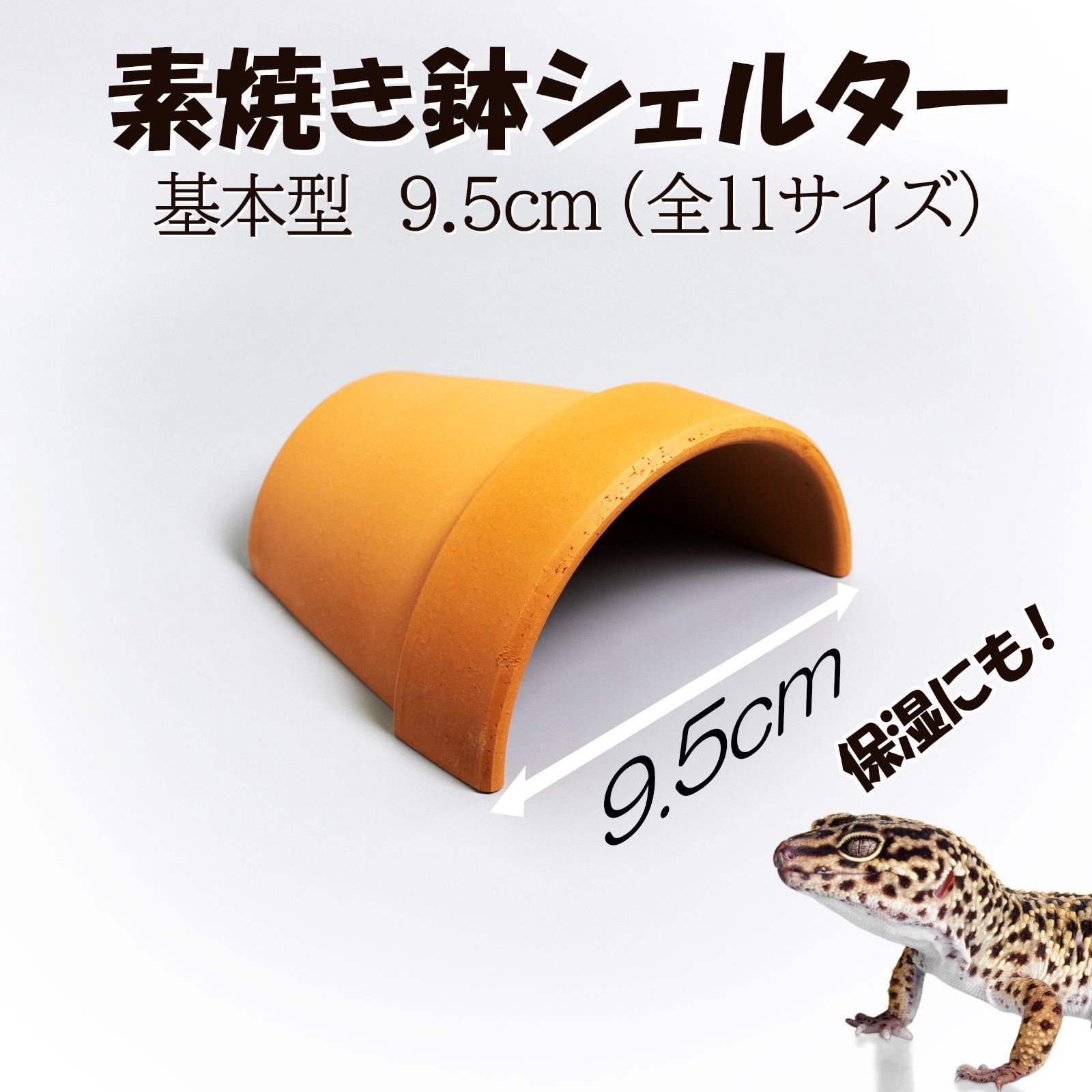 爬虫類　角型シェルター　1 爬虫類 角型シェルター 1