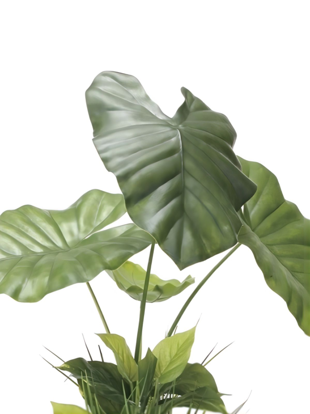 光触媒 人工観葉植物 ウォールグリーン フェイクグリーン タローリーフ90-