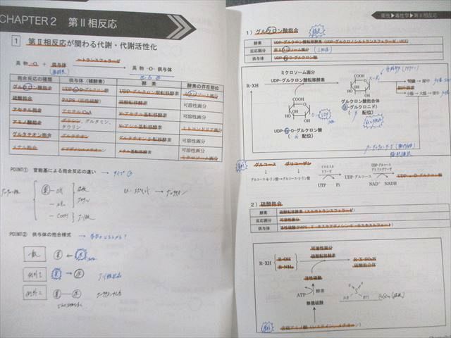 REC e-ラーニング 大阪薬科大学 薬剤師国家試験対策 レジュメセット ★ ☆ 000L3D REC e-ラーニング 大阪薬科大学 薬剤師国家試験対策 レジュメ