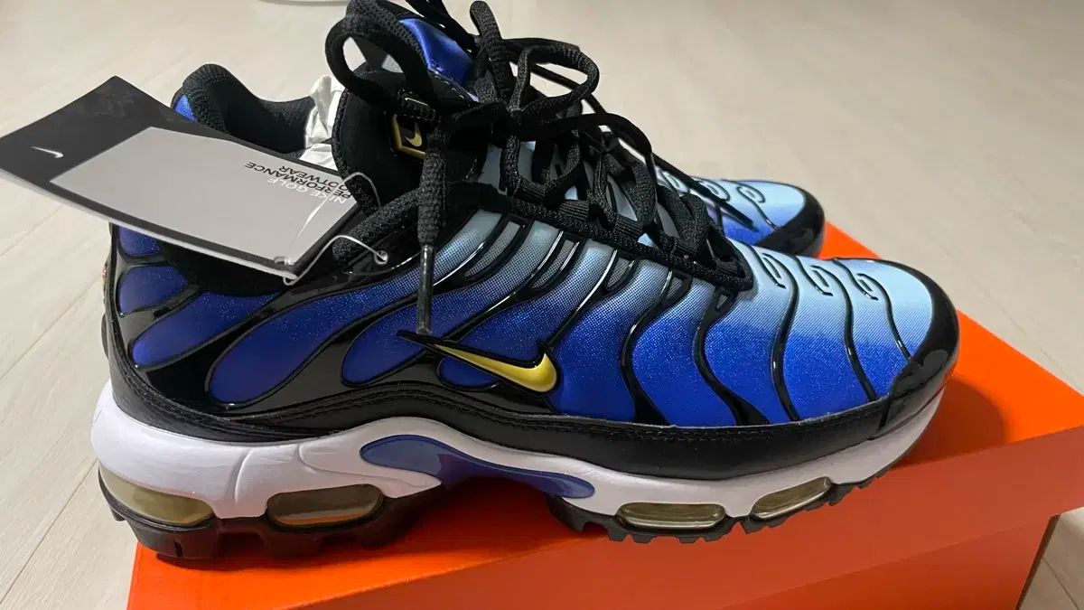NIKE ナイキ エアマックス プラス g 250mm