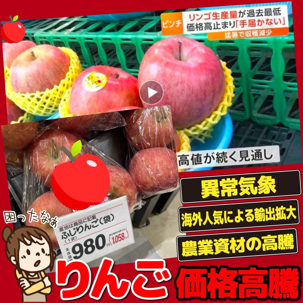 5kg】訳あり品種お任せ りんご 青果市場直送 - メルカリ