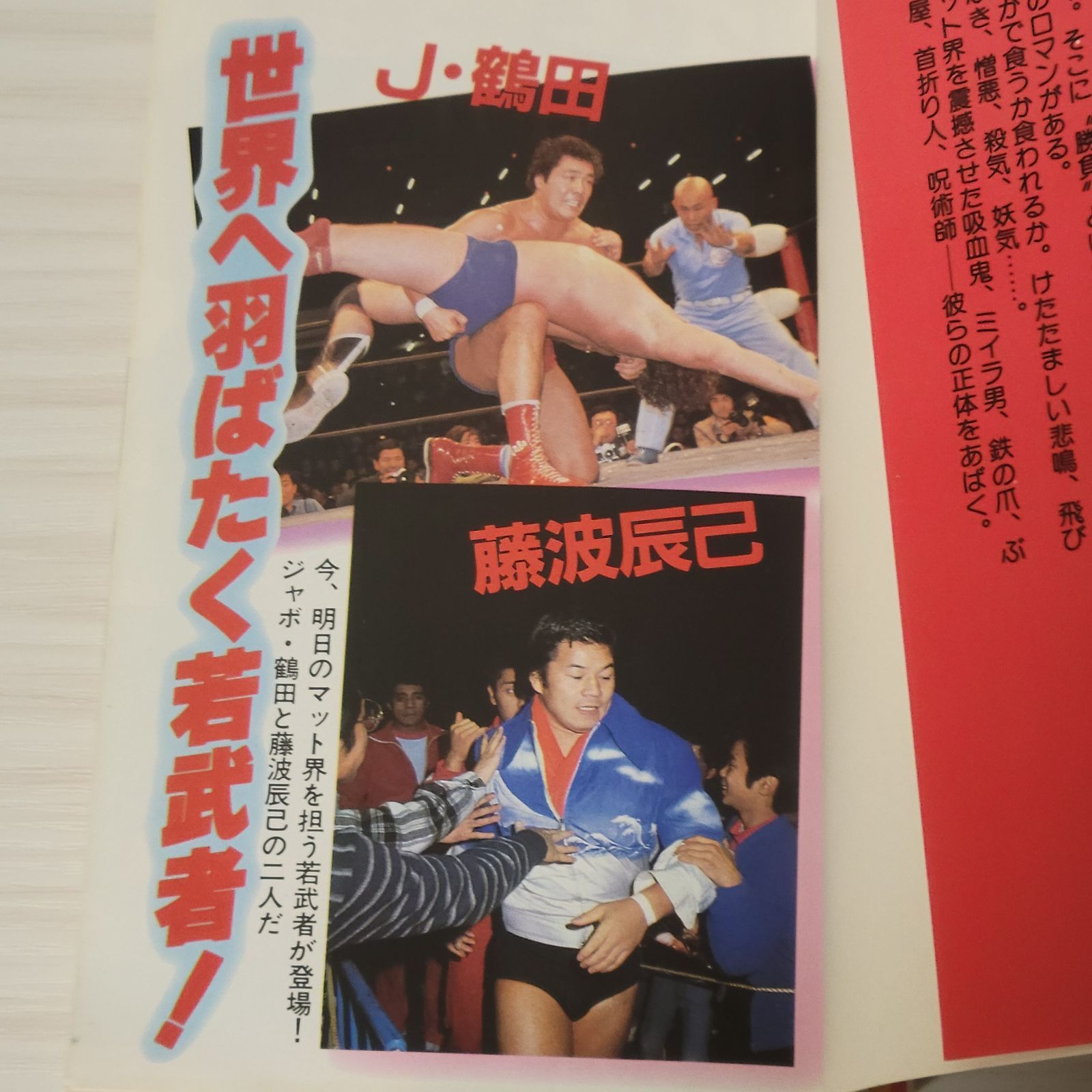プロレス・アルバム　5冊 猪木 馬場 マスカラス ブッチャー テリー プロレス大研究｜昭和56年発行 血と肉弾戦の記録 ザ ブッチャー