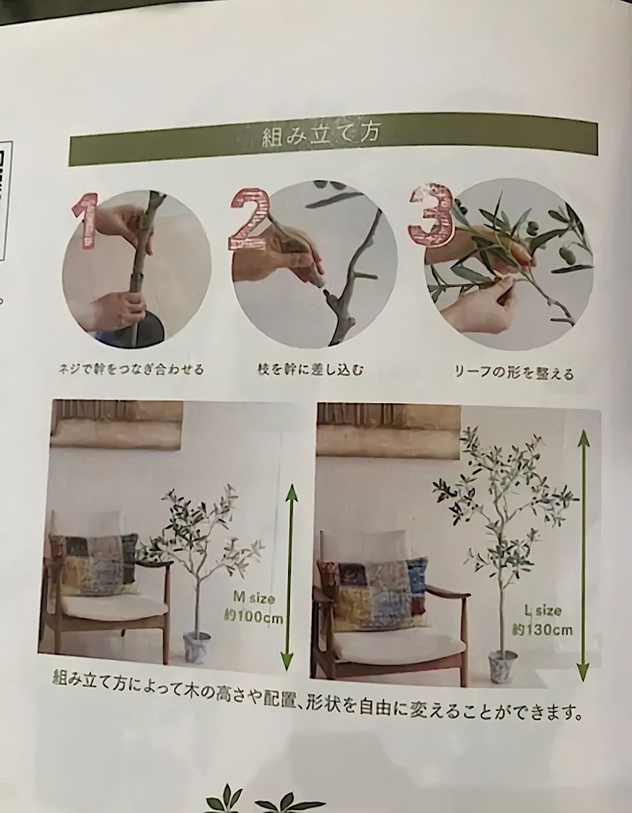 ウォールグリーン