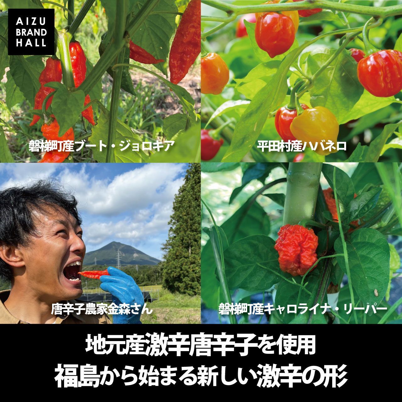 のサムネイル