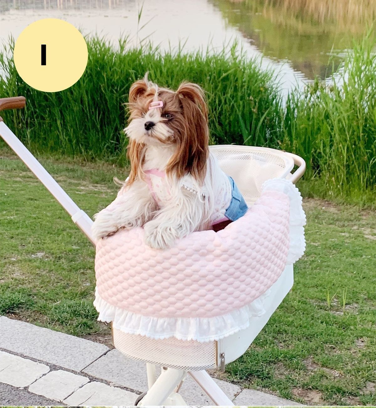 かわいい