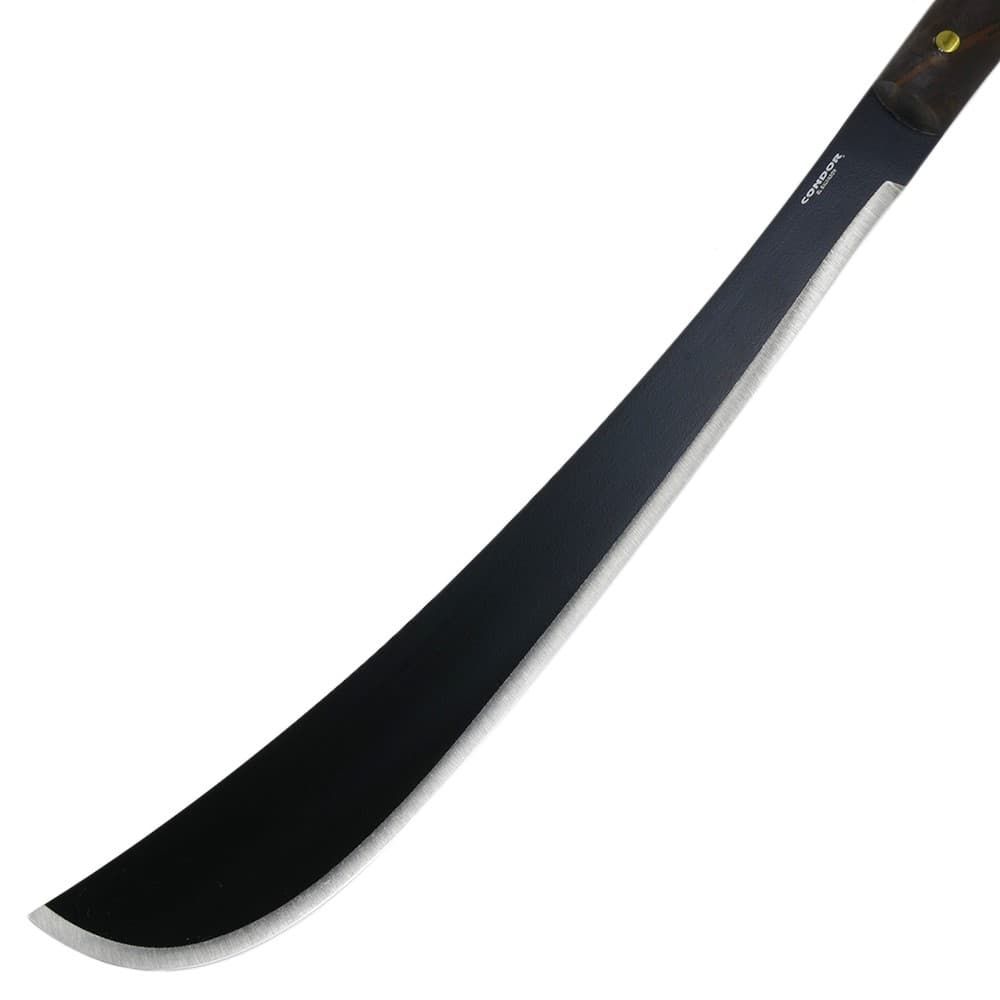 CTK410-14HCS 18歳以上