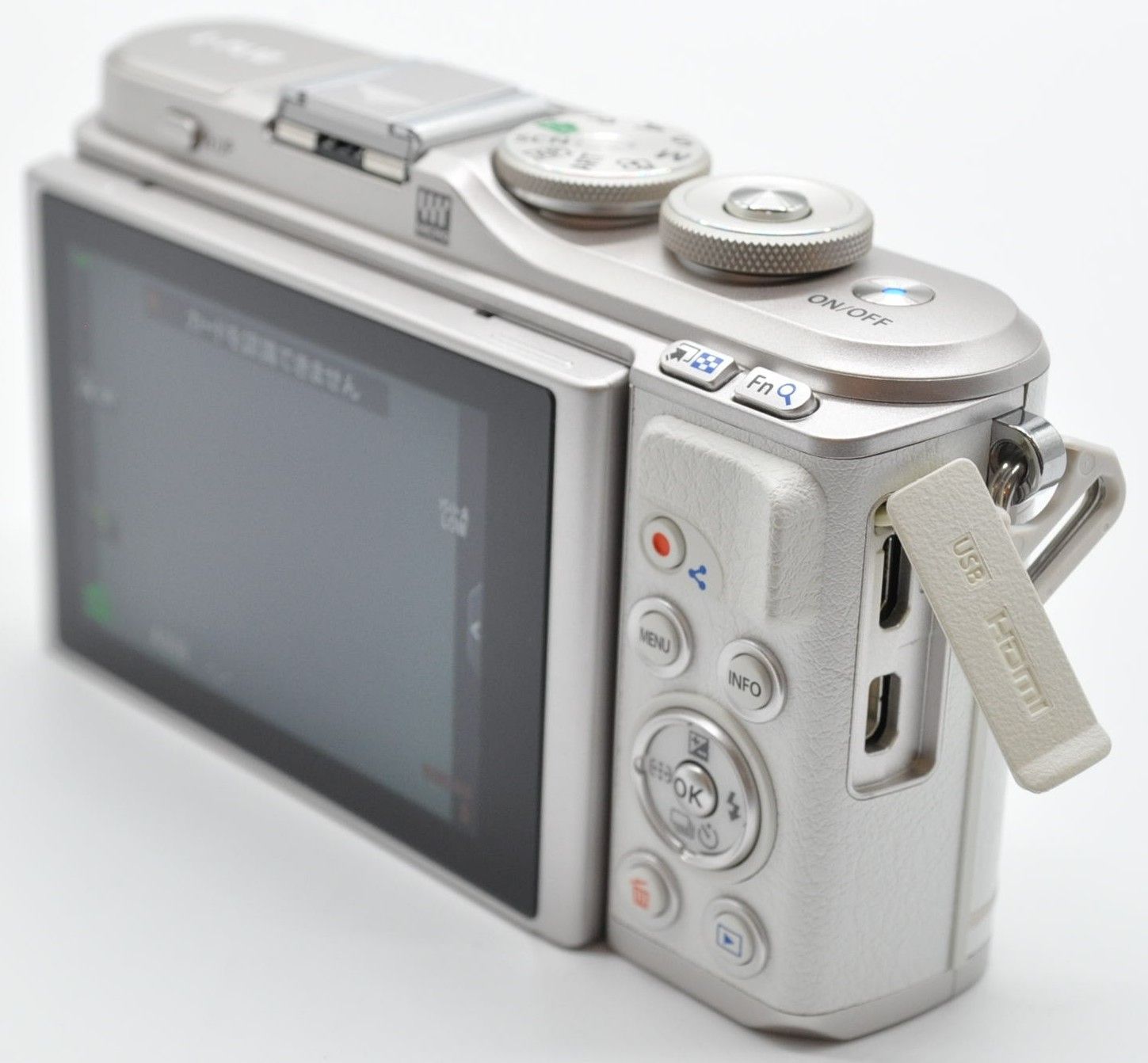 PEN E-PL10