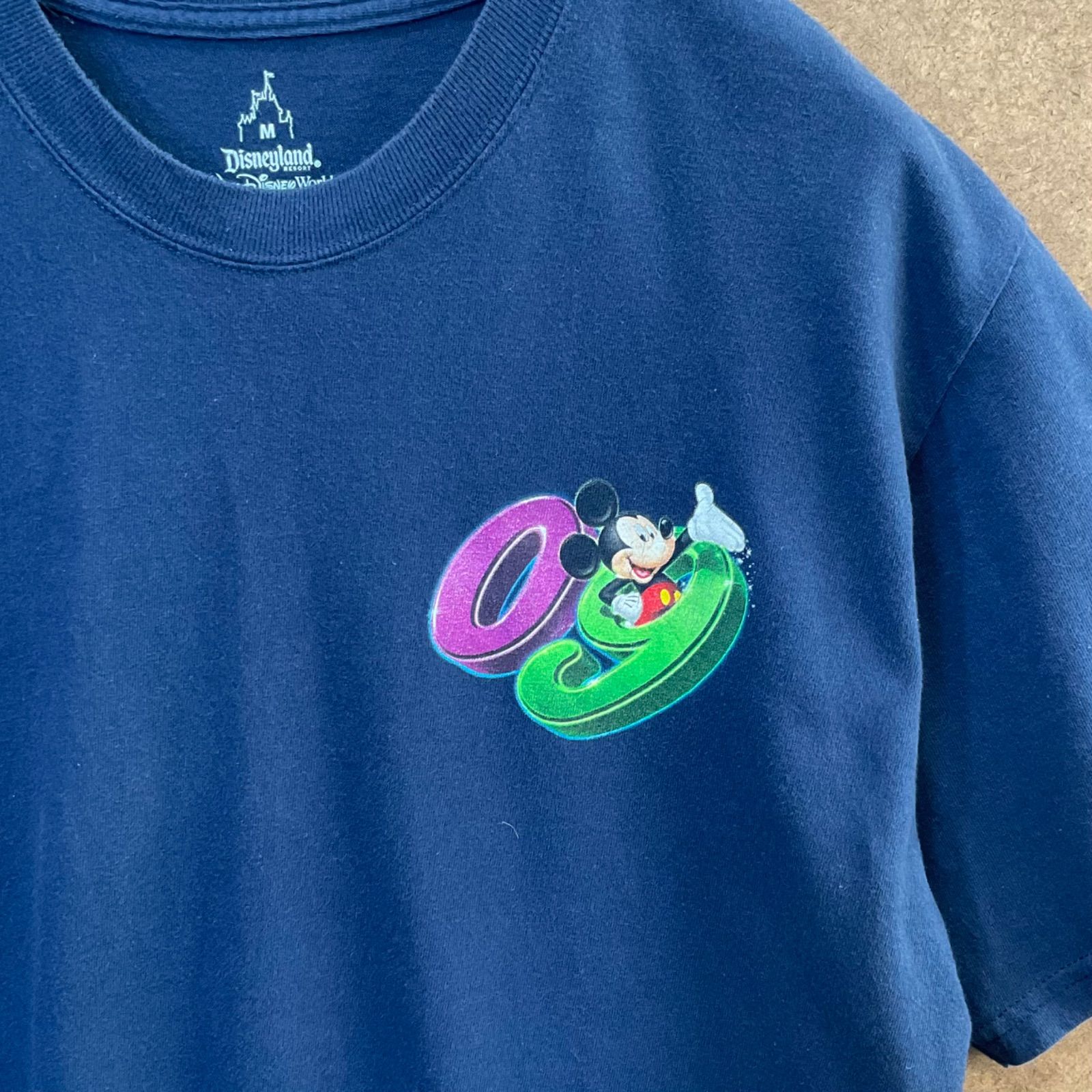 y*0様 ヘインズ ディズニーランド ウォルト・ディズニー・ワールド 半袖Tシャ ウォルトディズニーワールド Tシャツ 2x - メルカリ